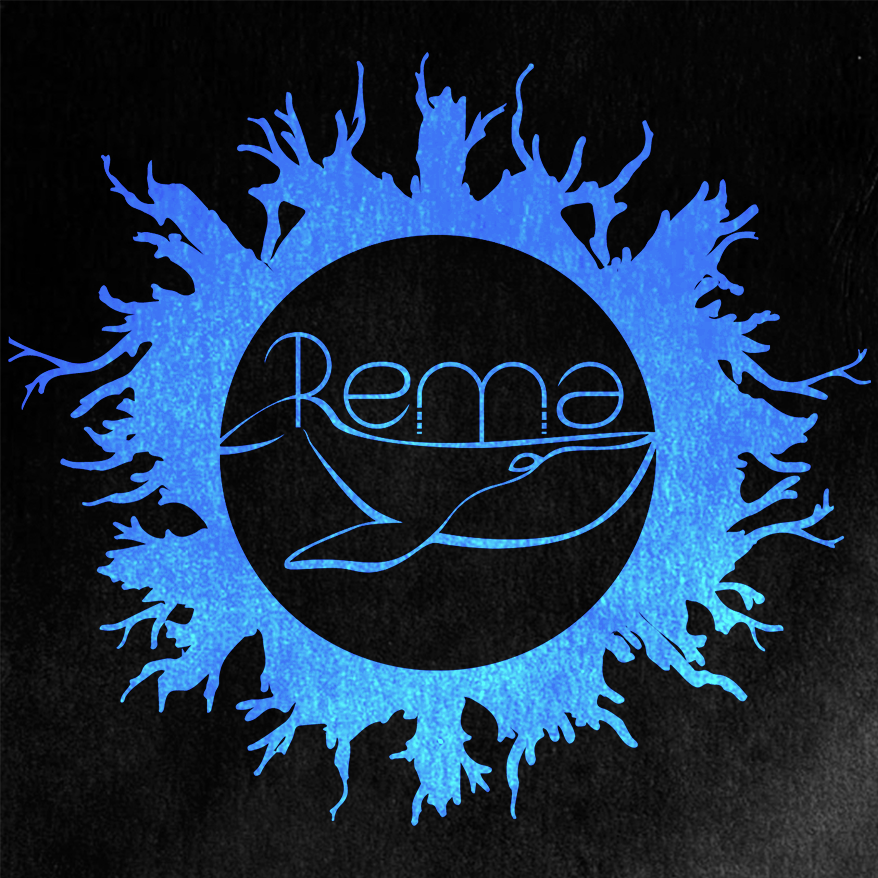 REMA in concerto